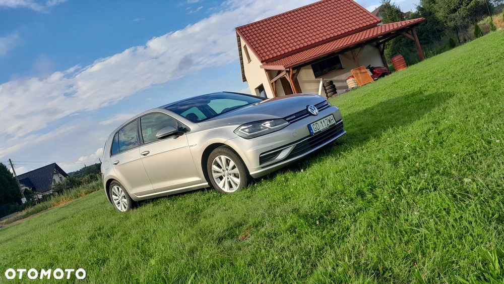 Volkswagen Golf - 16