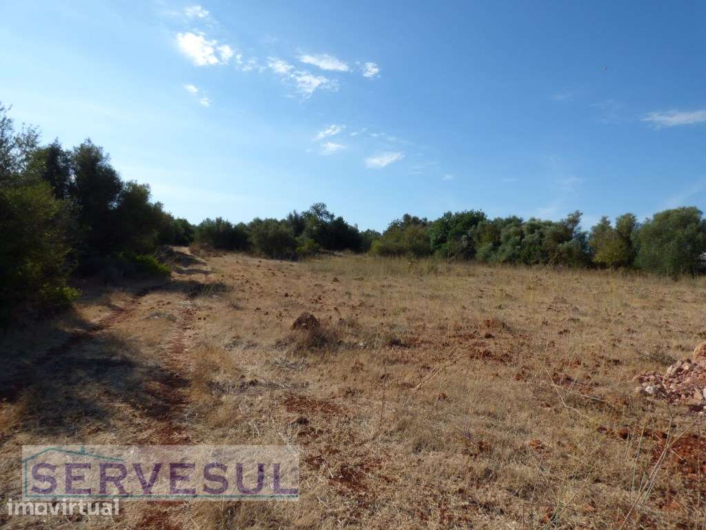 Terreno Rústico com 9.960 m² a apenas 10 minutos da cidade de Silves - Grande imagem: 5/12