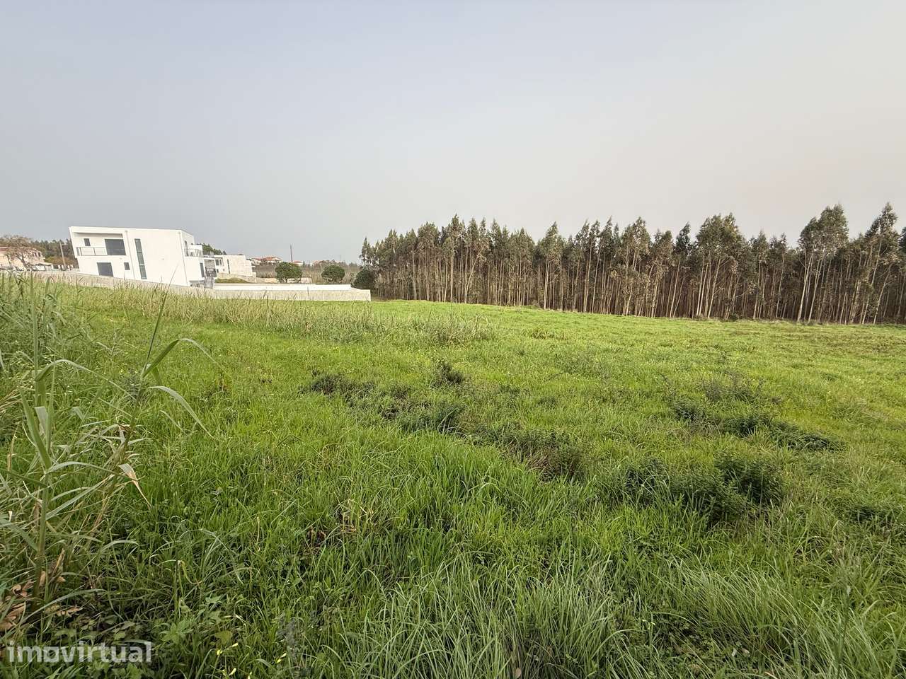 Terreno urbano - nos arredores da cidade de Caldas da Rainha - Grande imagem: 3/9