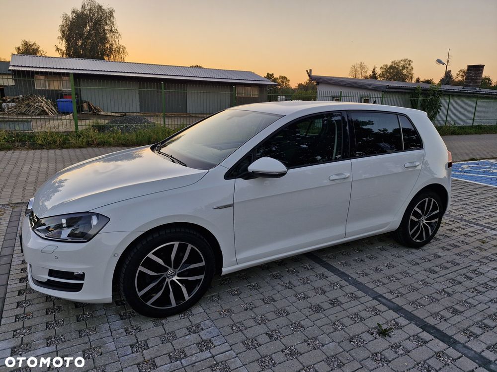 Volkswagen Golf - 8