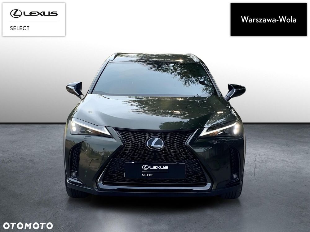 Lexus UX 250h GPF F Sport Design 2WD - 10