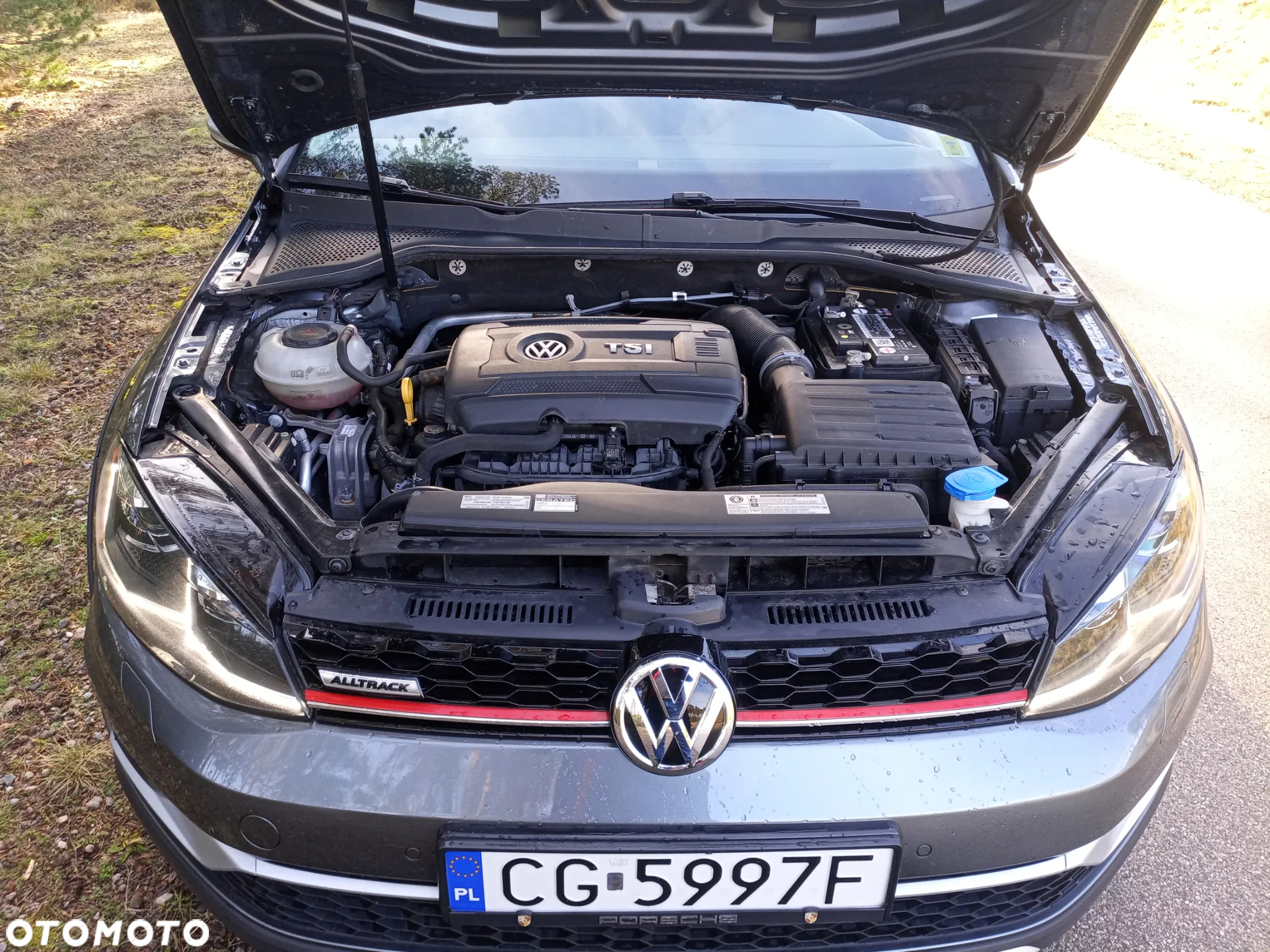 Volkswagen Golf - 11