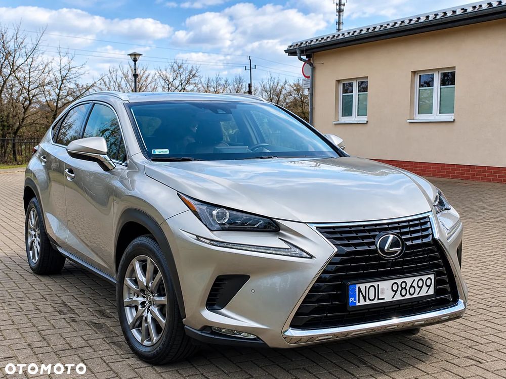 Lexus Nx 2019 photo 2