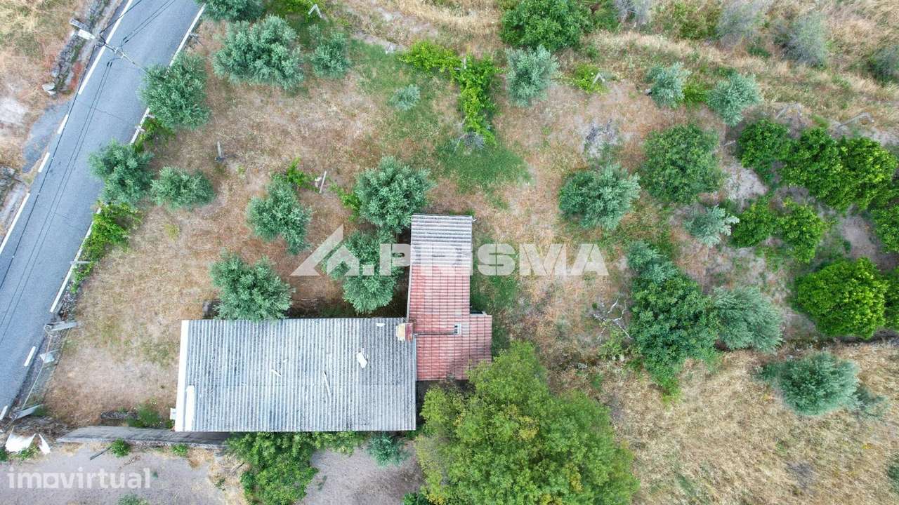 Quintinha para venda em Louriçal do Campo, Castelo Branco - Grande imagem: 5/30