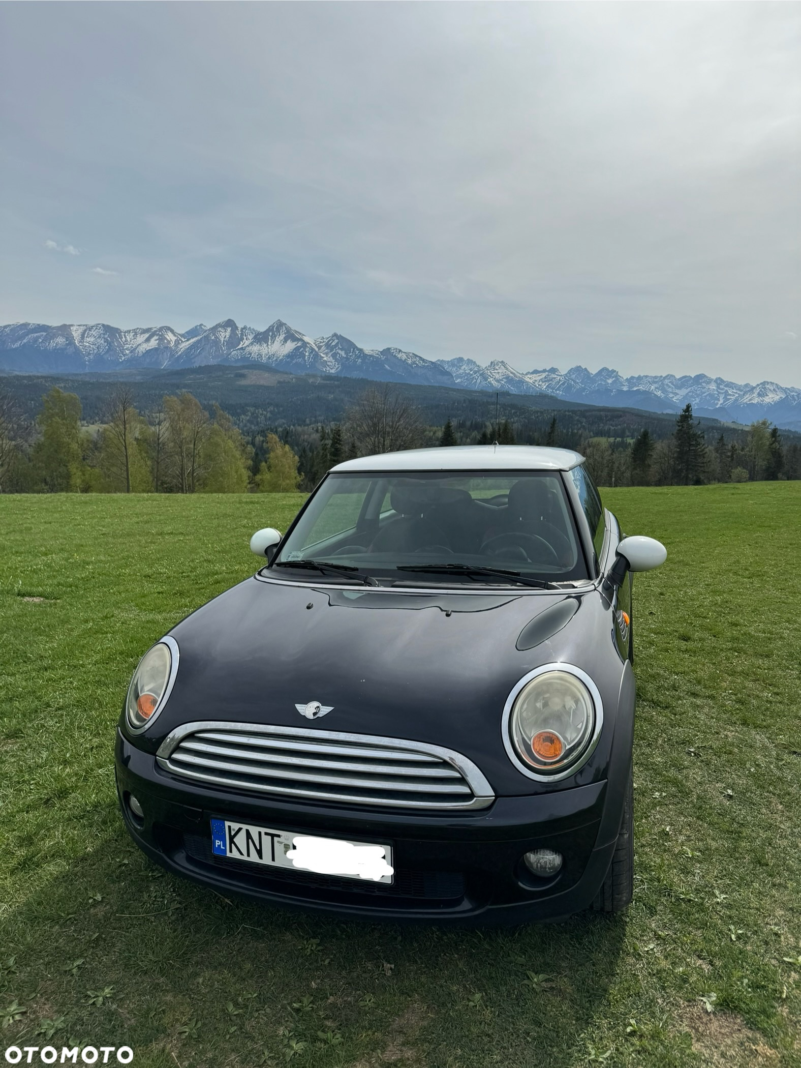 MINI ONE Standard - 6