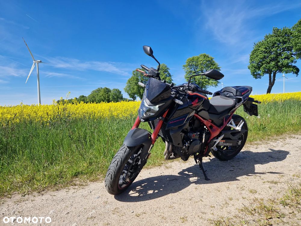 Honda Hornet - 10
