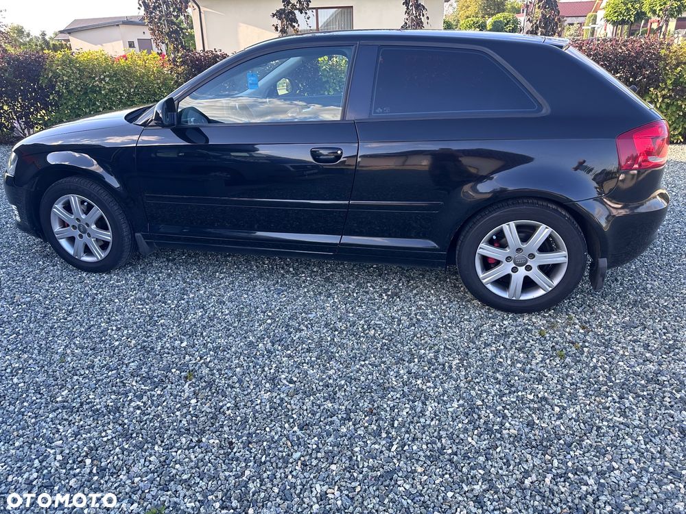 Audi A3 3-drzwiowe 1.6 Ambition - 1