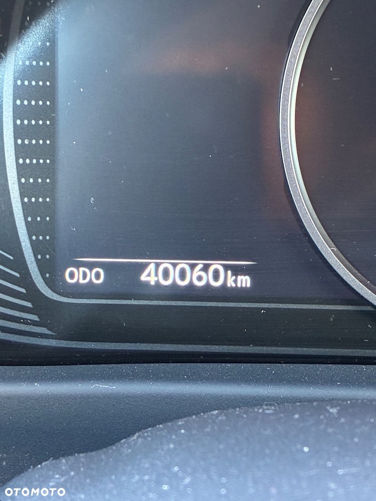 Lexus UX 250h F Sport 2WD - 17