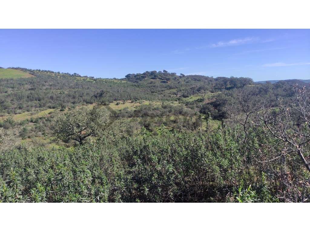 Terreno rústico de 1,85Ha localizado 1 Km a sudeste da localidade d... - Grande imagem: 2/10