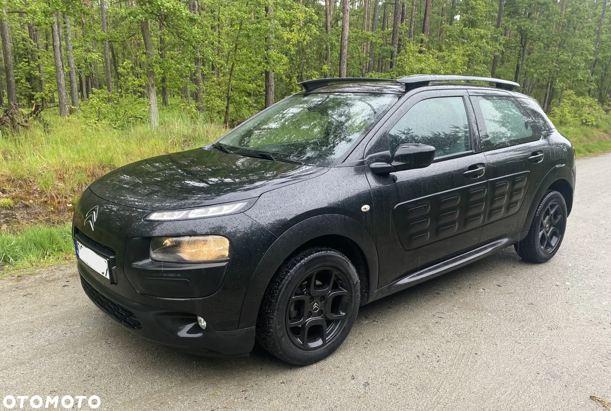 Citroën C4 Cactus - 2