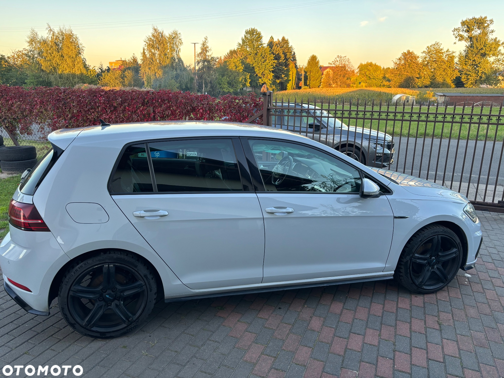 Volkswagen Golf - 3
