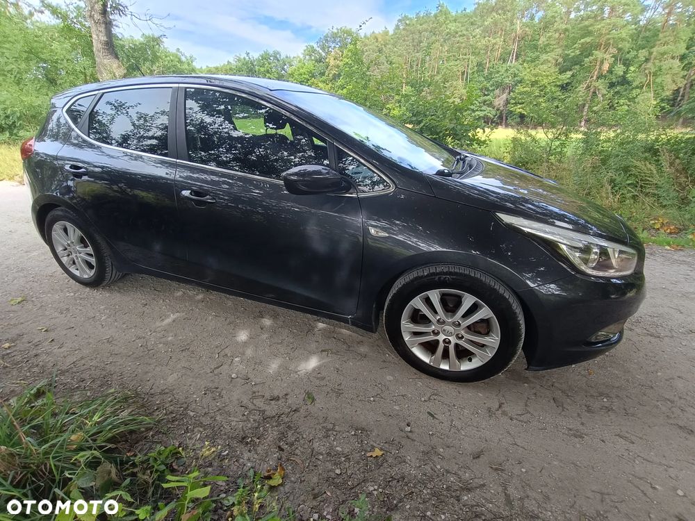 Kia Ceed 1.6 CRDi 128 Fifa World Cup Edition - 11