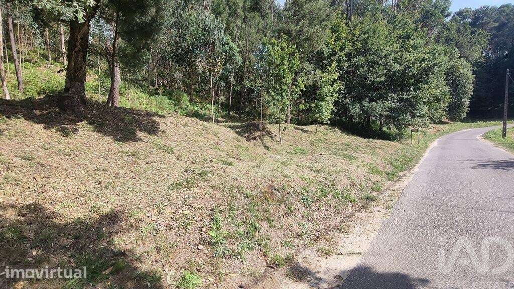 Terreno Agrícola em Valença, Cristelo Covo e Arão - Grande imagem: 2/3