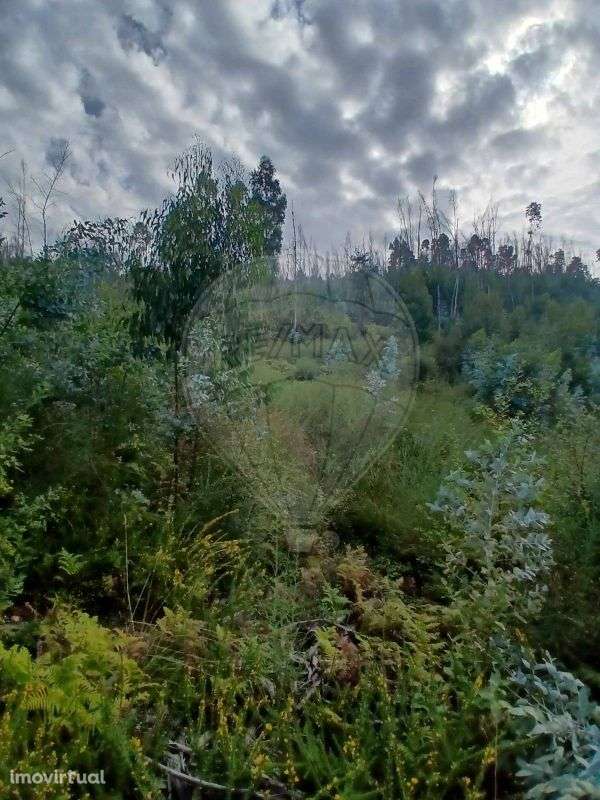 Terreno  para venda - Grande imagem: 3/3