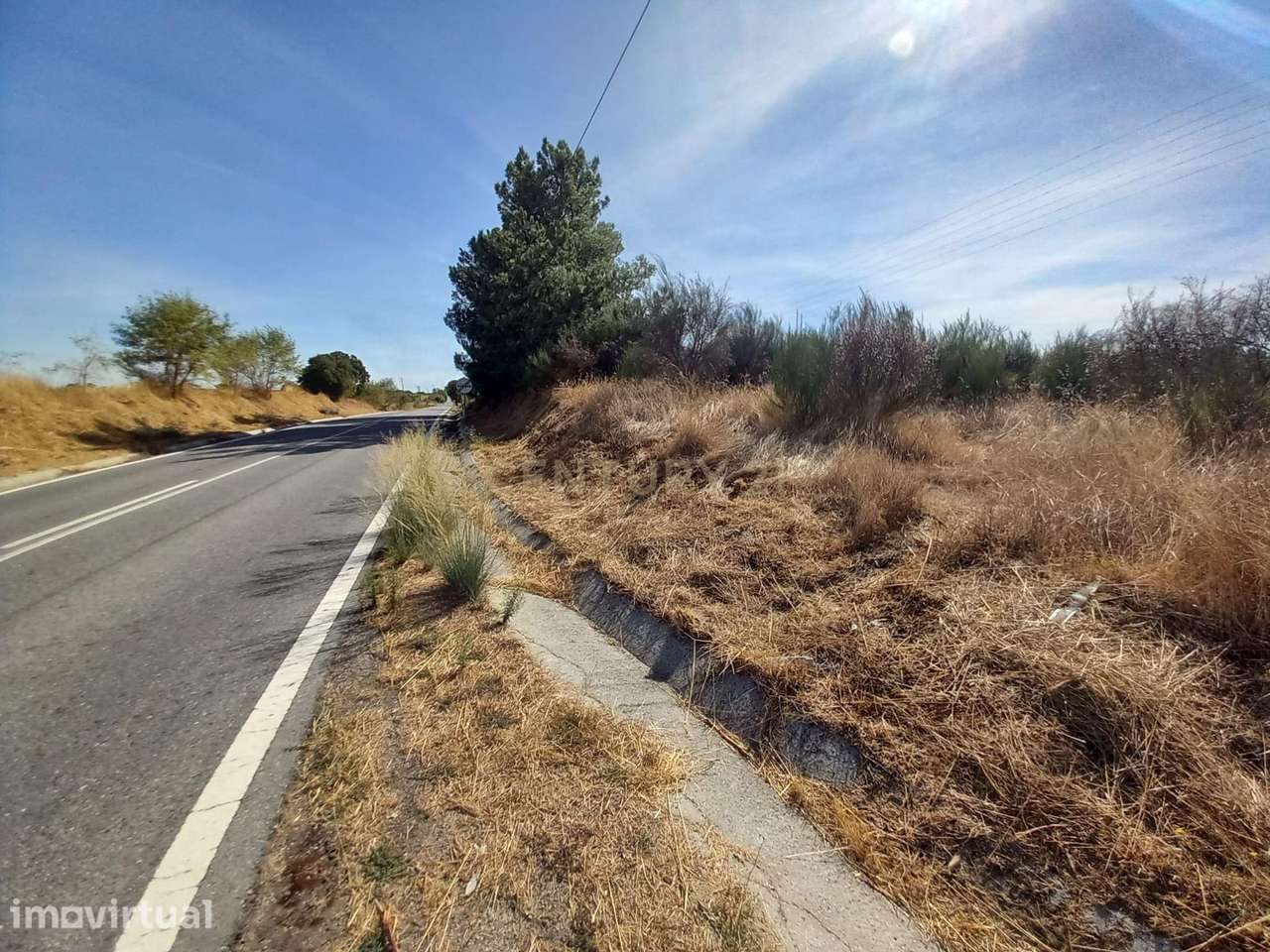 Terreno Rústico com 10250m2, Lardosa , Castelo Branco - Grande imagem: 5/9