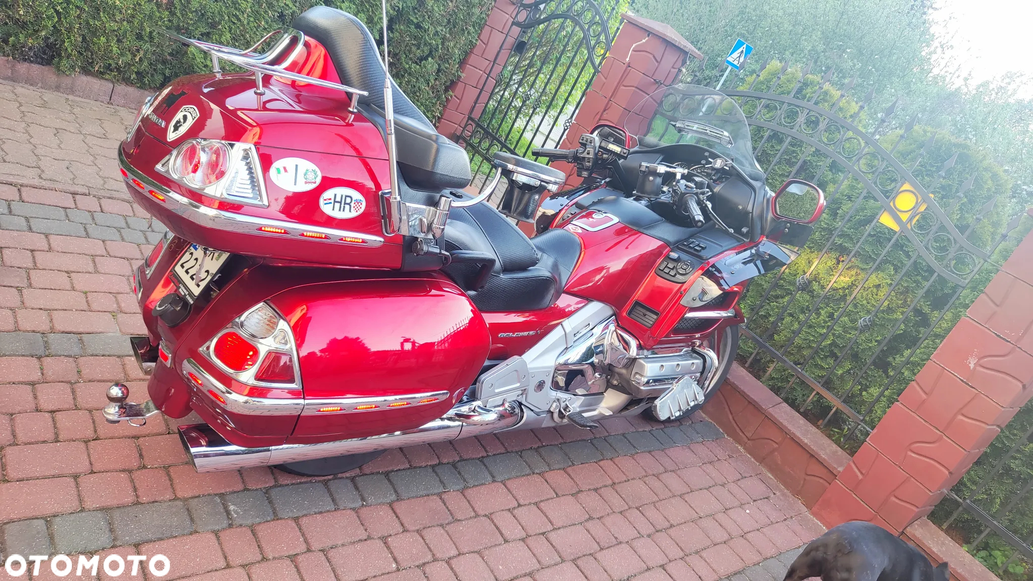 Honda GL - 8