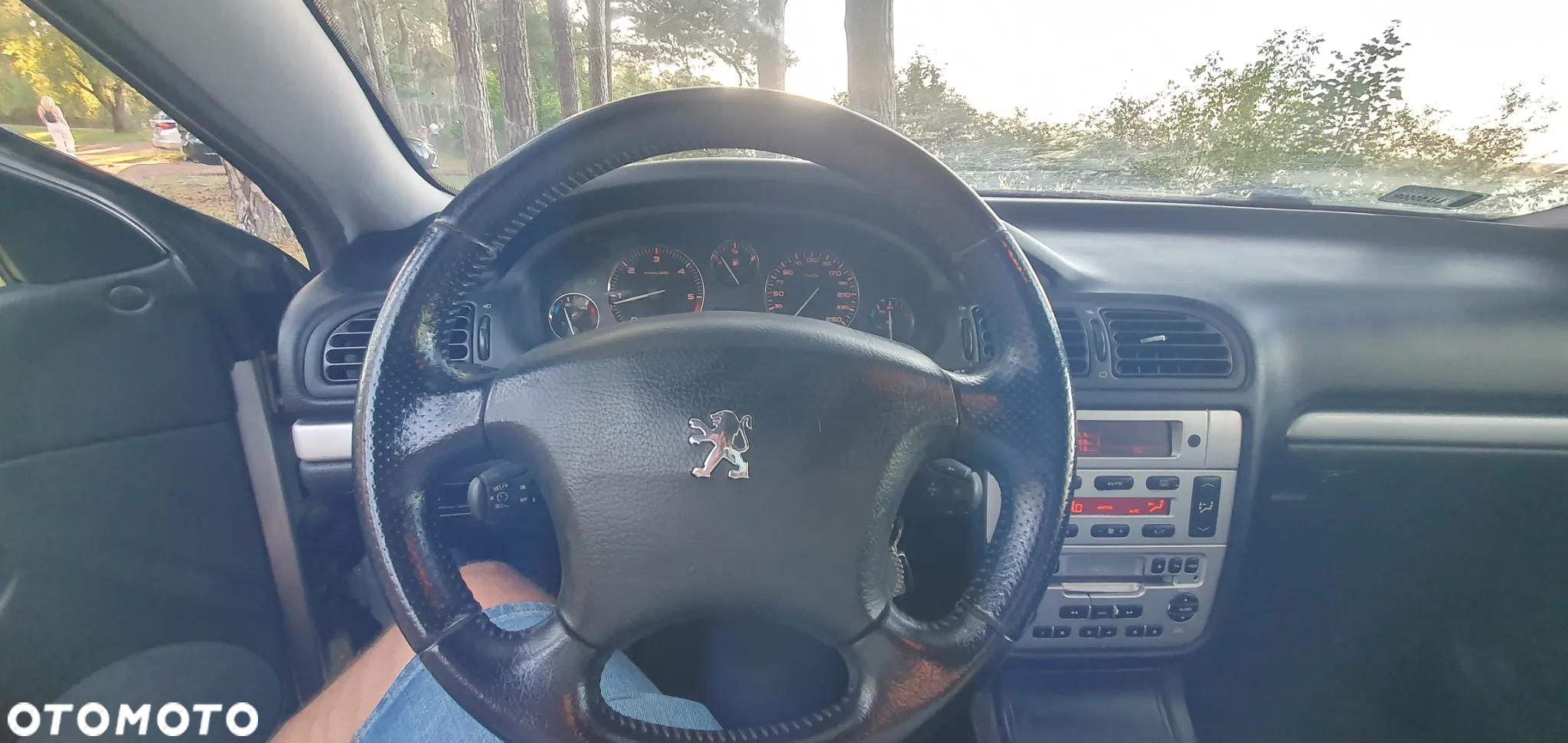 Peugeot 406 2.2 HDI - 13