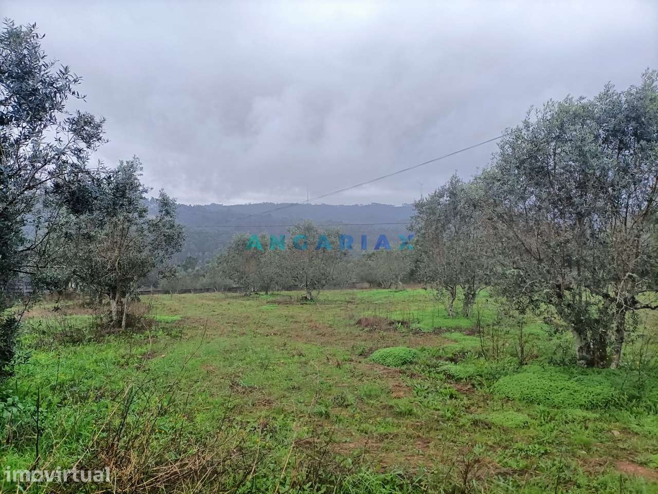 ANG1576 - Terreno para Venda em Chainça, Leiria - Grande imagem: 2/6