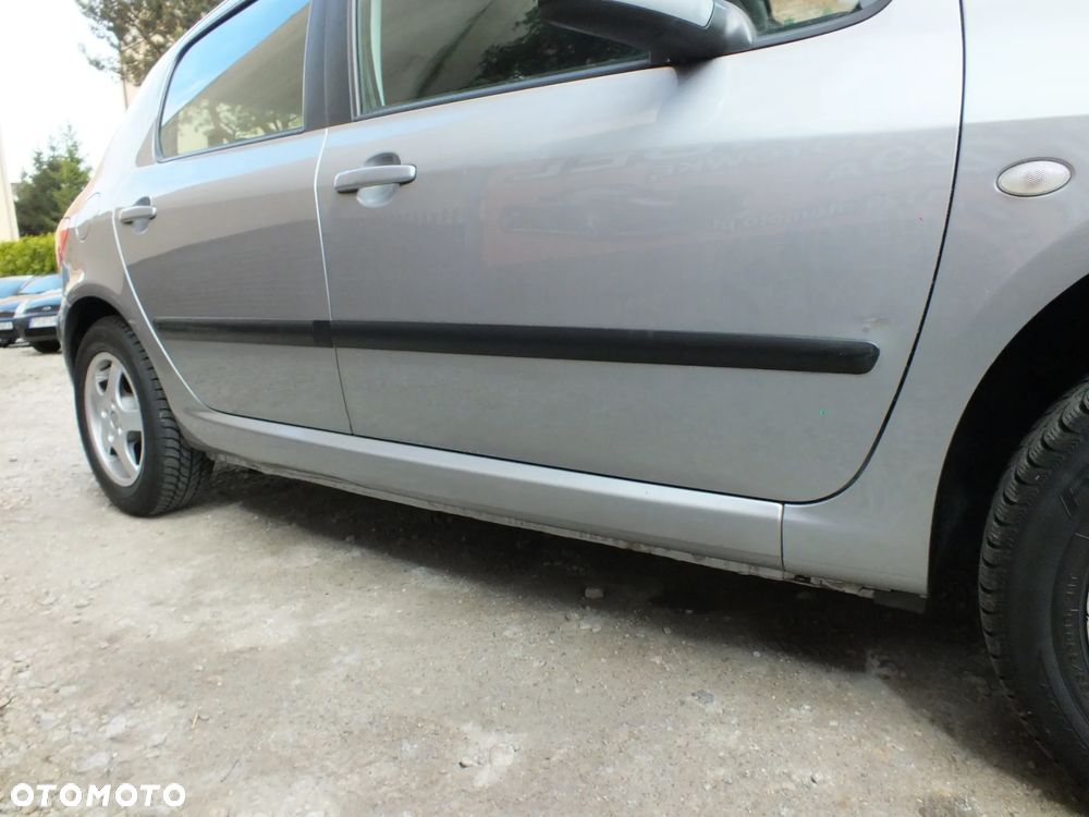 Peugeot 307 - 8