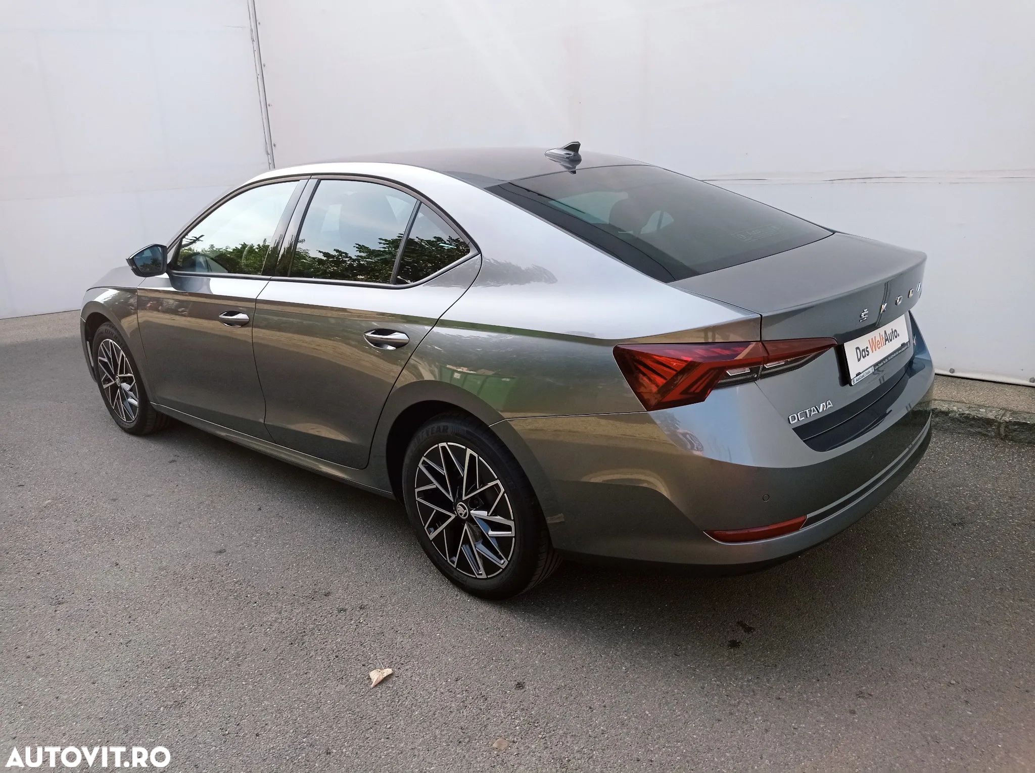 Skoda Octavia - 3