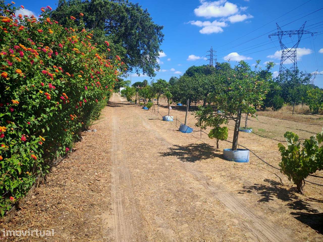 Terreno vedado com infraestruturas de água e eletricidade, em Palmela - Grande imagem: 4/25