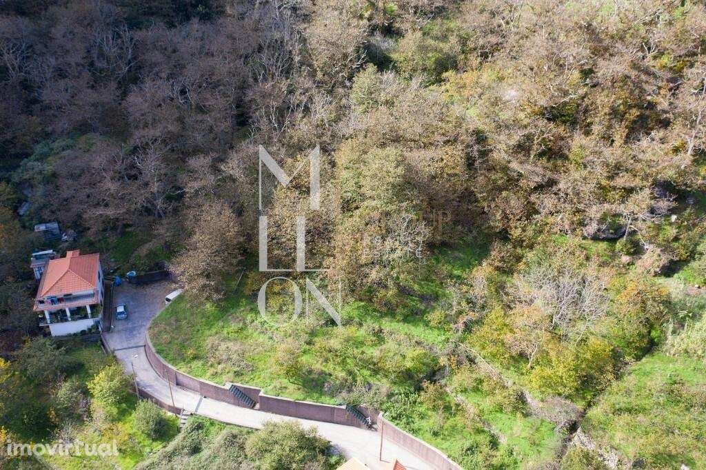 Terreno pitoresco no sítio da Fajã Escura - Grande imagem: 5/18