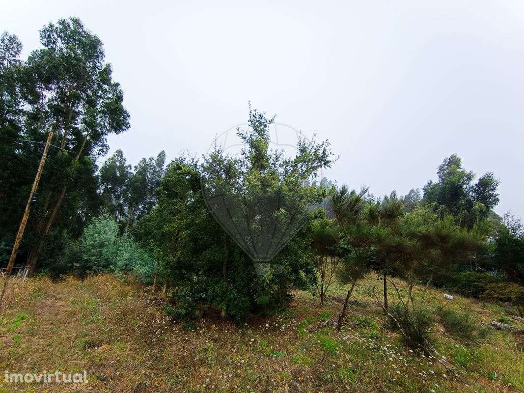 Terreno  para venda - Grande imagem: 2/11