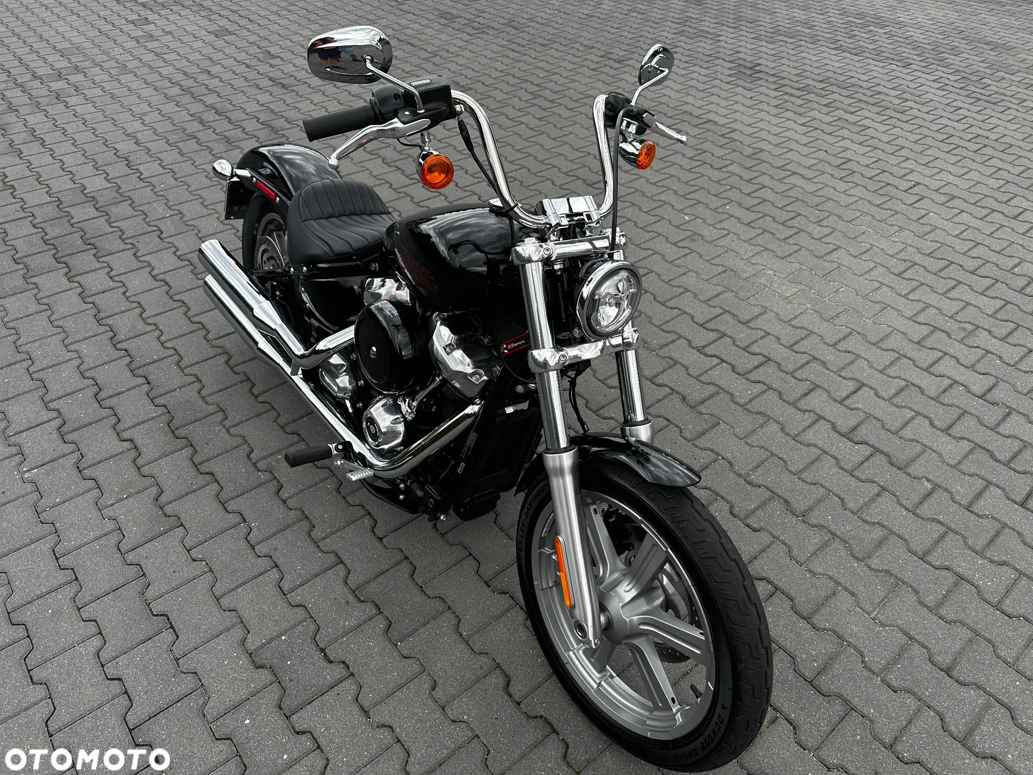 Harley-Davidson Softail Standard - 4
