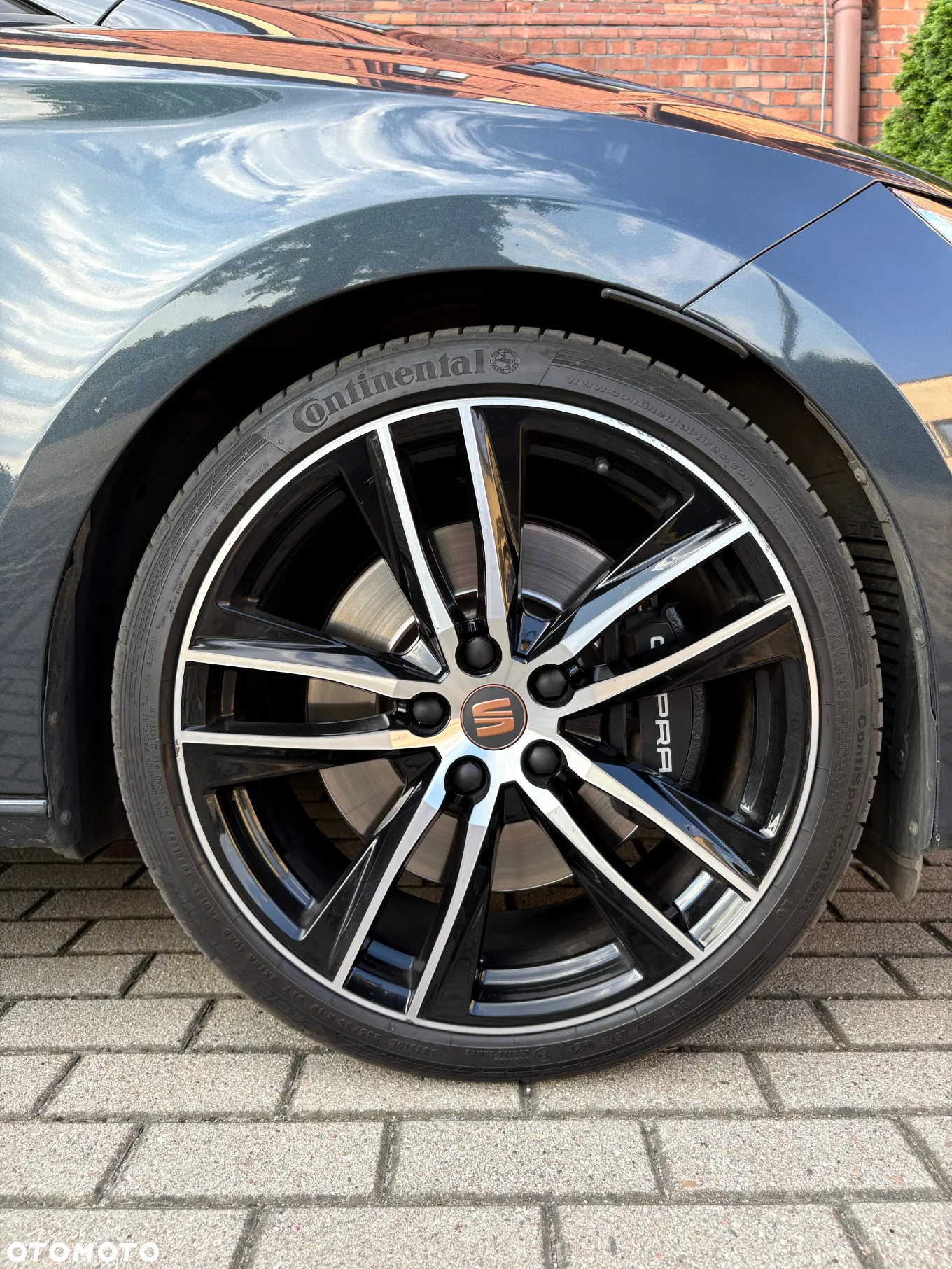 Seat Leon - 15