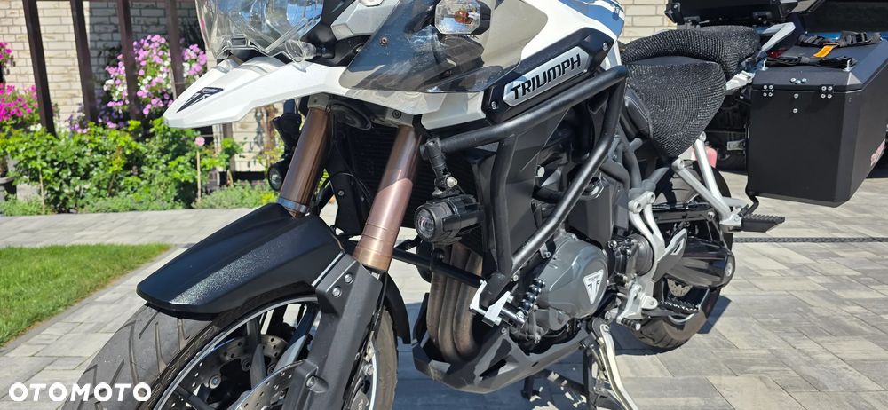 Triumph Tiger - 5