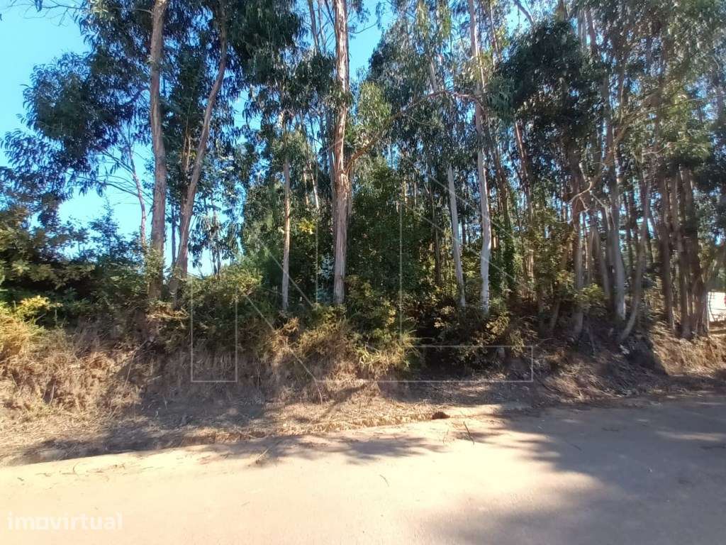 Terreno para Construção em Óis da Ribeira - Grande imagem: 3/4