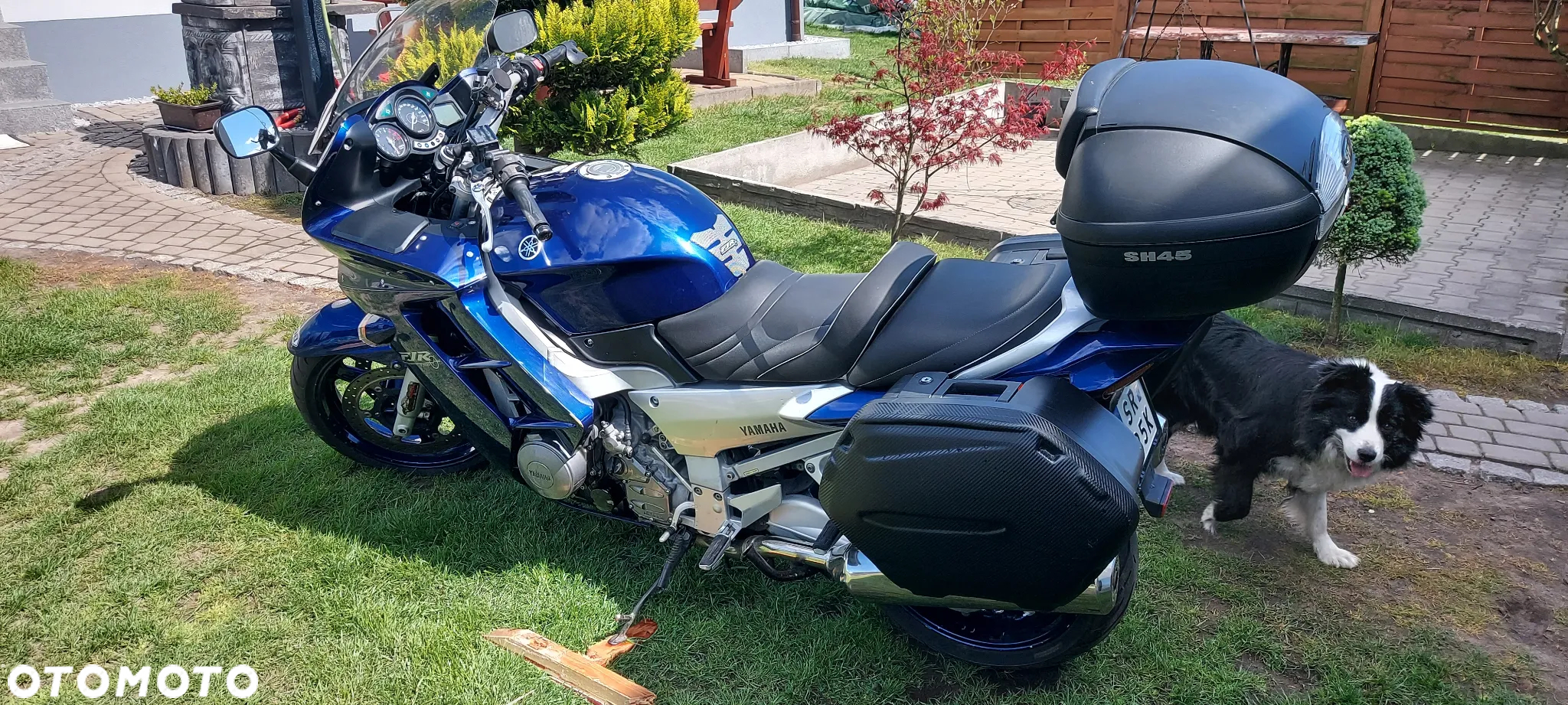 Yamaha FJR - 6