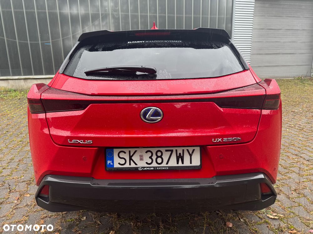 Lexus UX 250h GPF Business Edition 2WD - 15