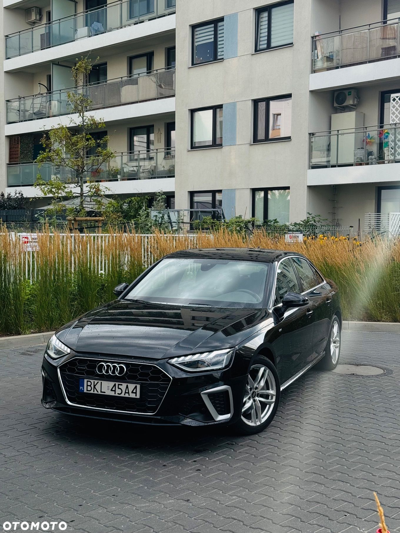 Audi A4 - 1