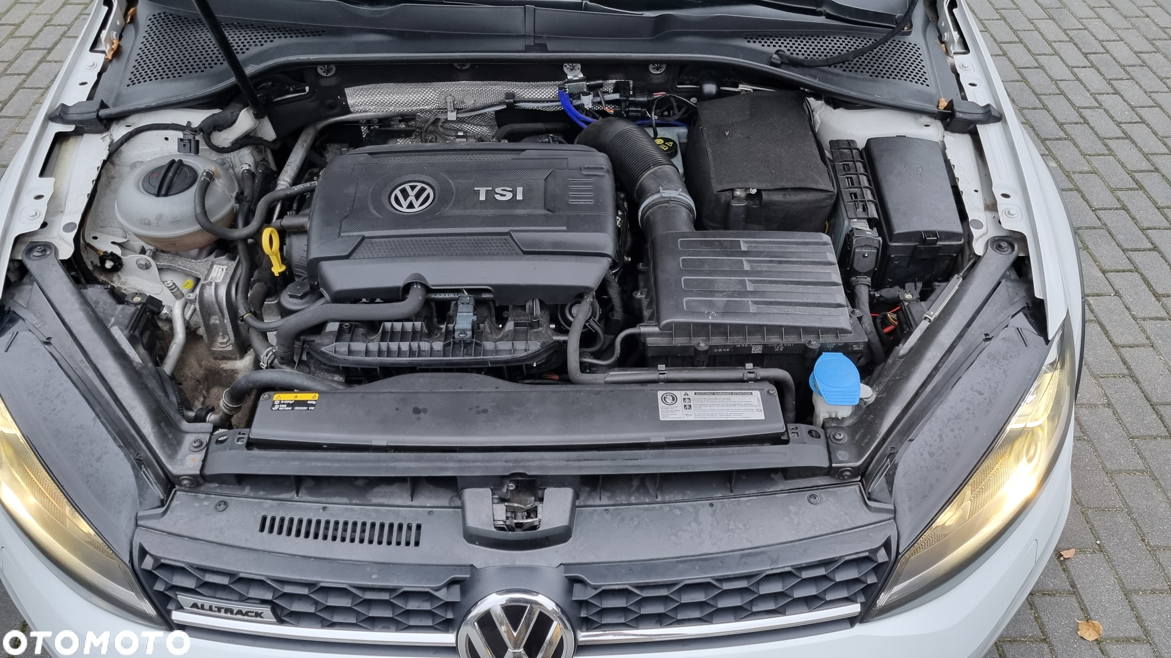 Volkswagen Golf Alltrack 1.8 TSI BMT 4Mot DSG - 17