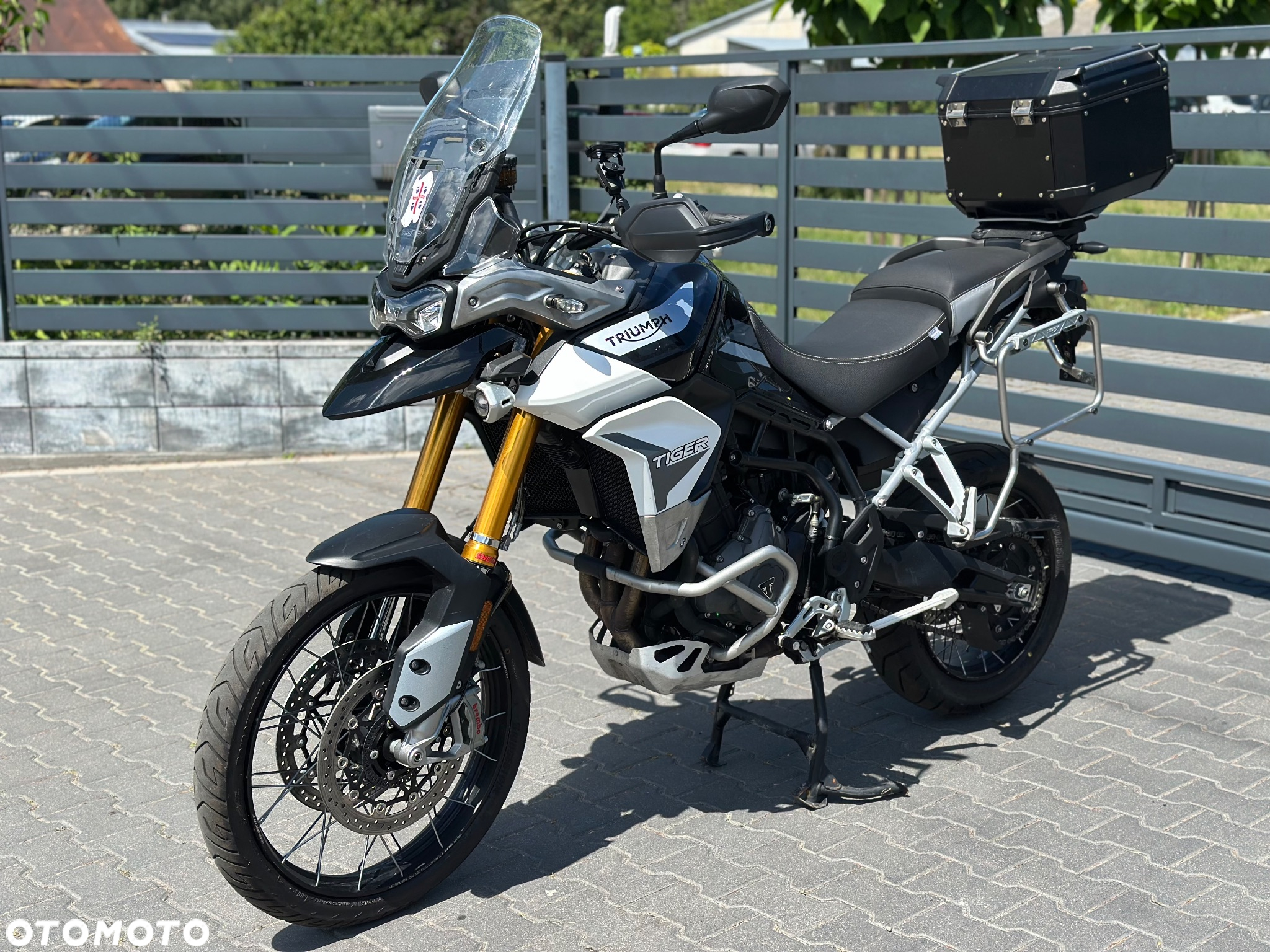 Triumph Tiger - 7