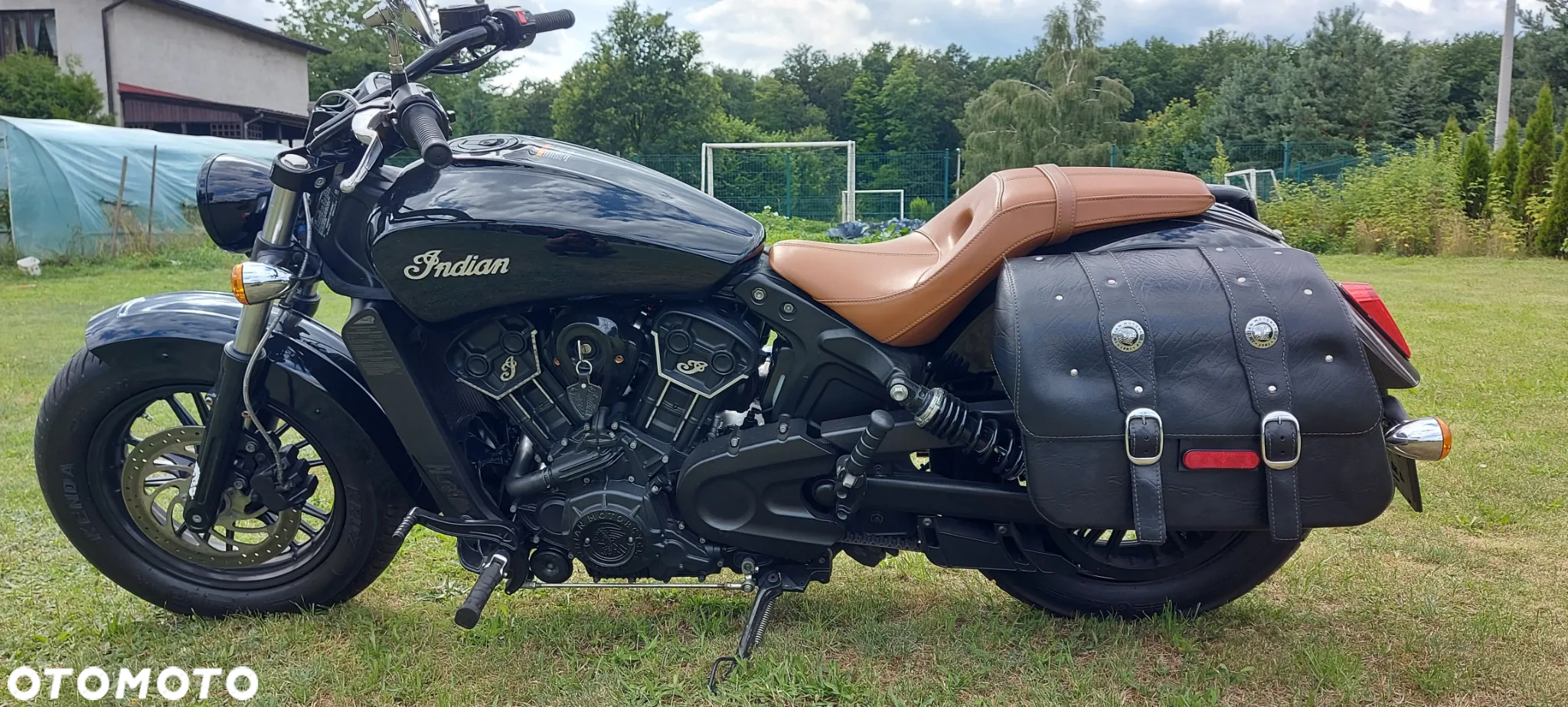 Indian Scout - 7