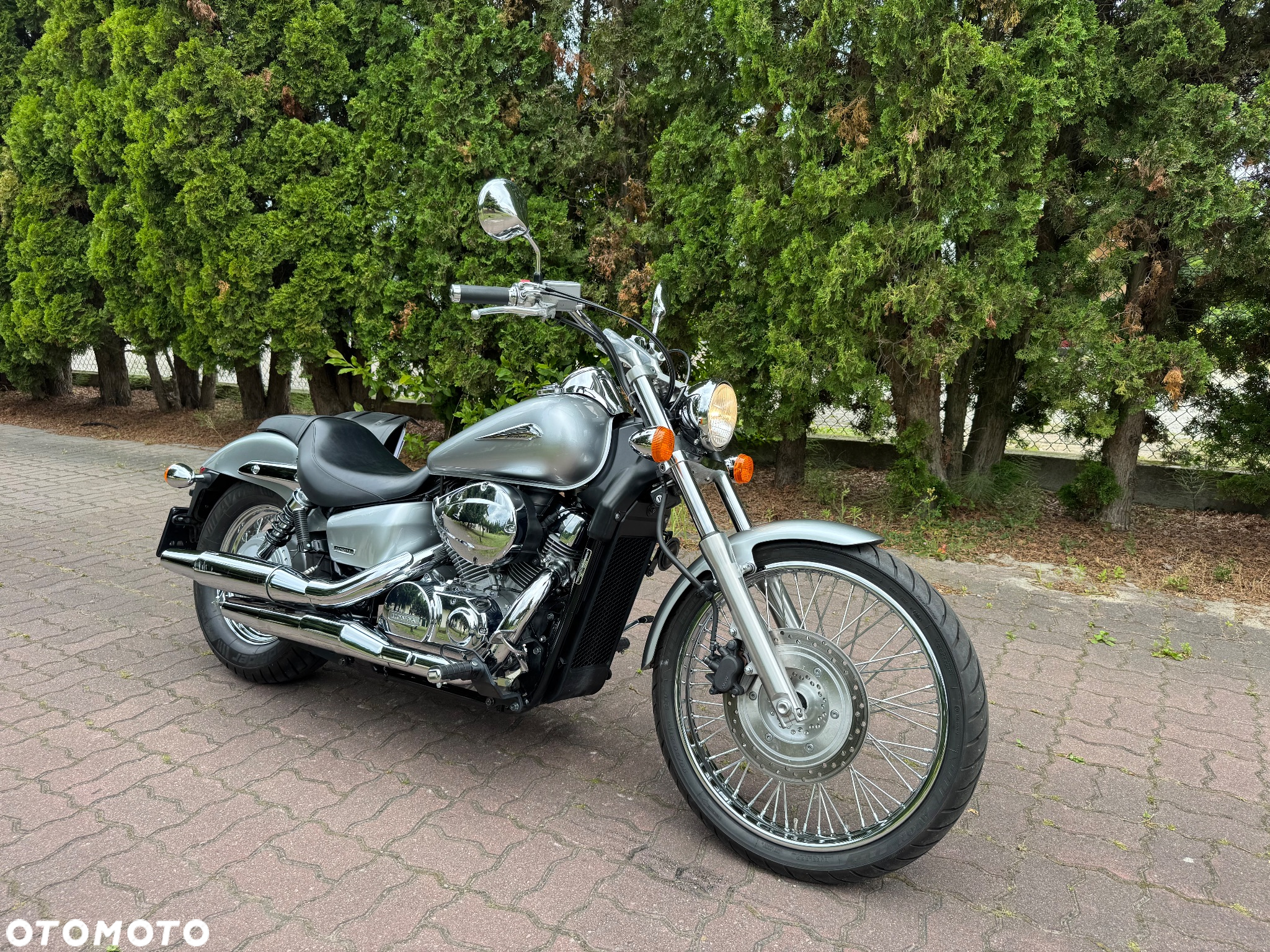 Honda Shadow - 3
