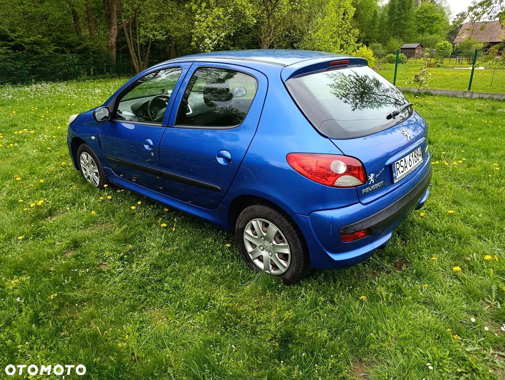 Peugeot 206 plus - 3