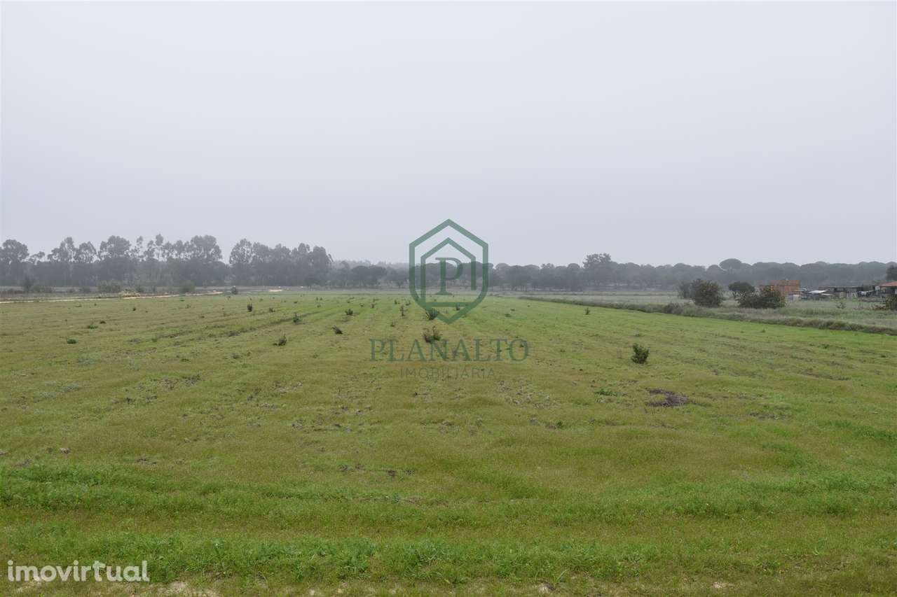 Terreno  Venda em Branca,Coruche - Grande imagem: 5/6