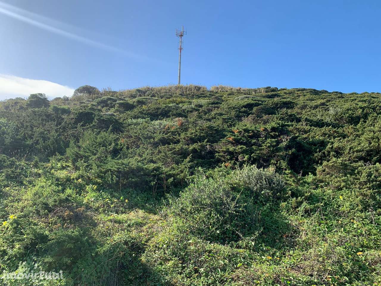 Terreno  Venda em Colares,Sintra - Grande imagem: 3/14