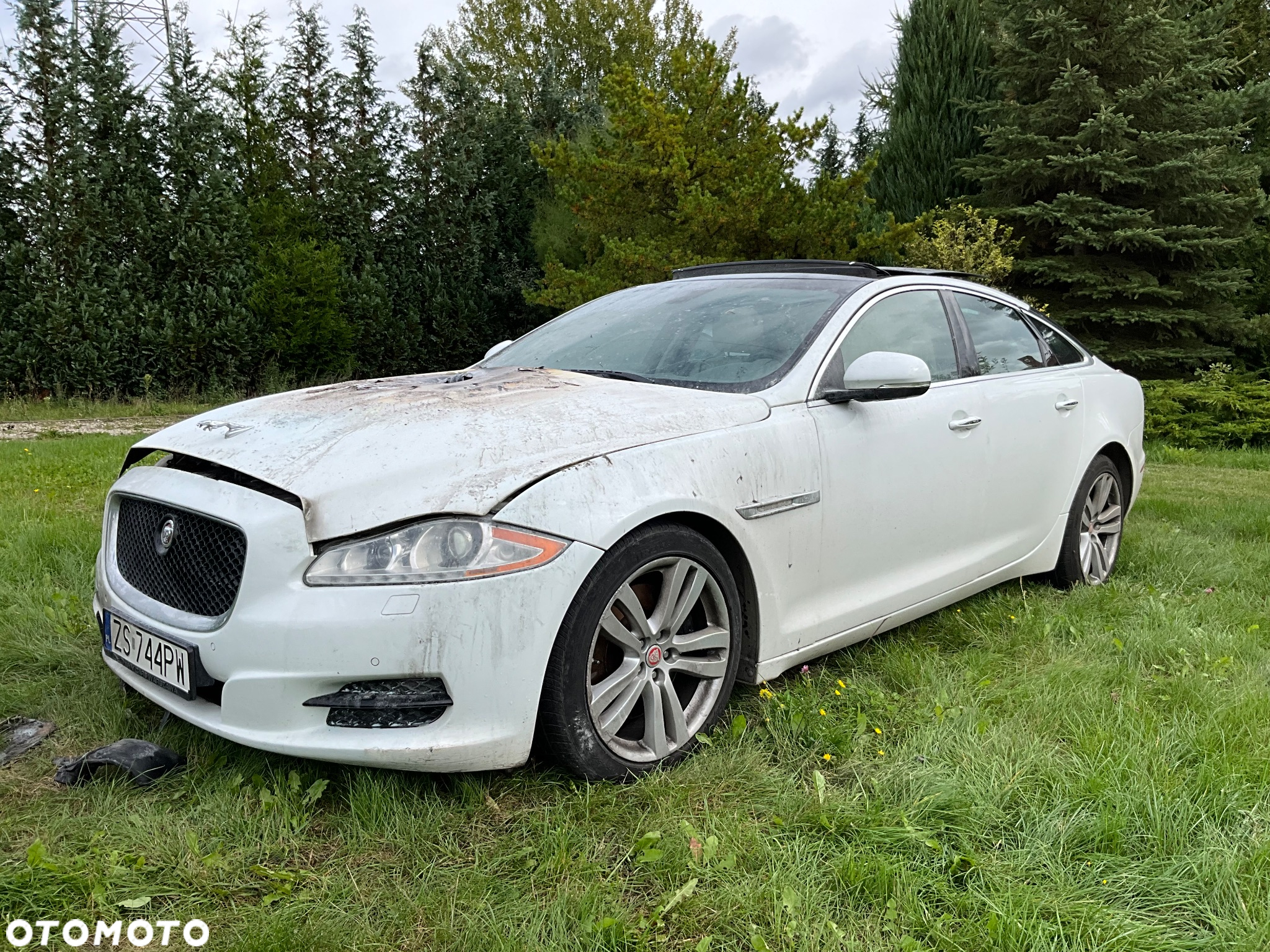 Jaguar XJ 3.0 T Portfolio - 2