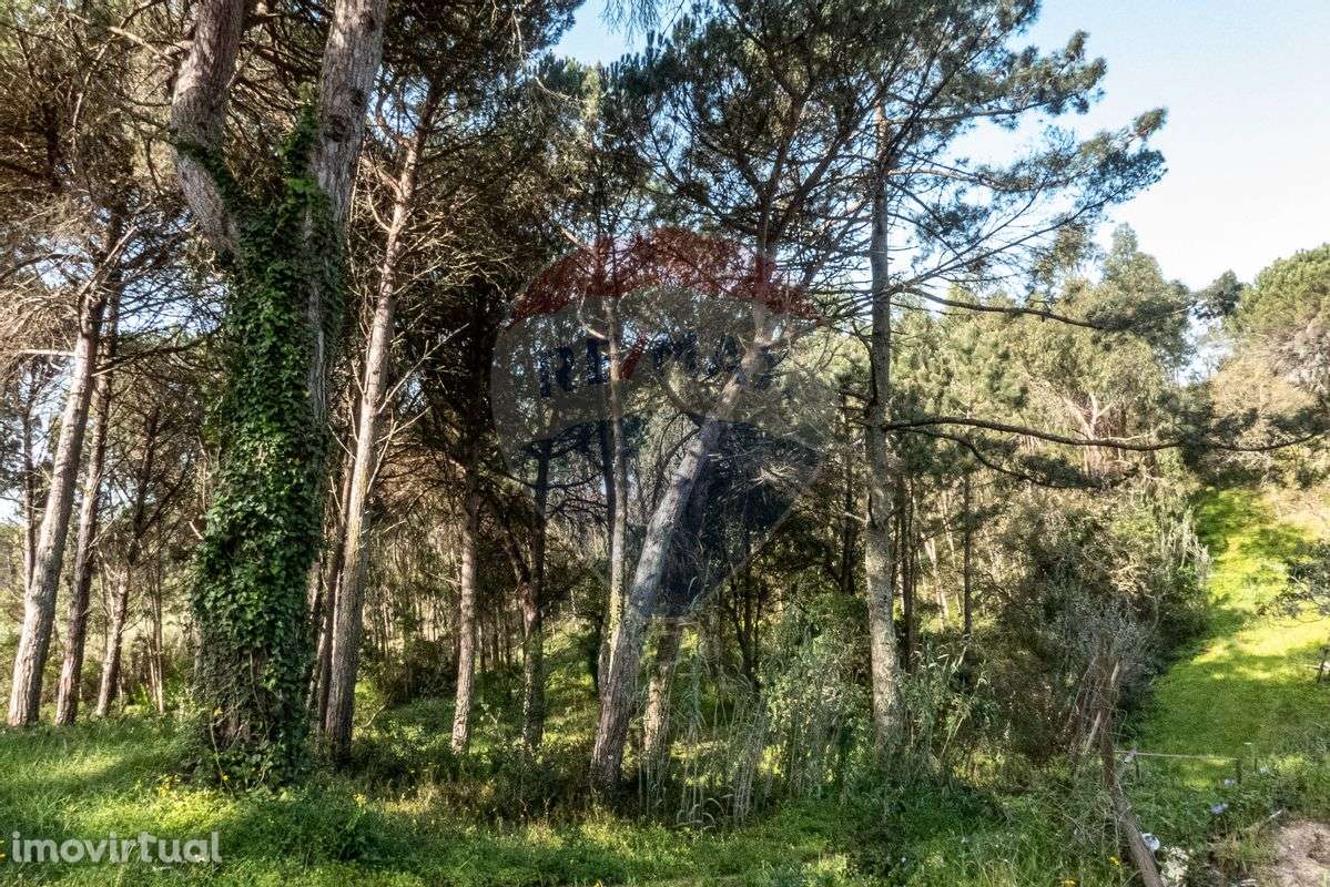 Terreno  para venda - Grande imagem: 4/17