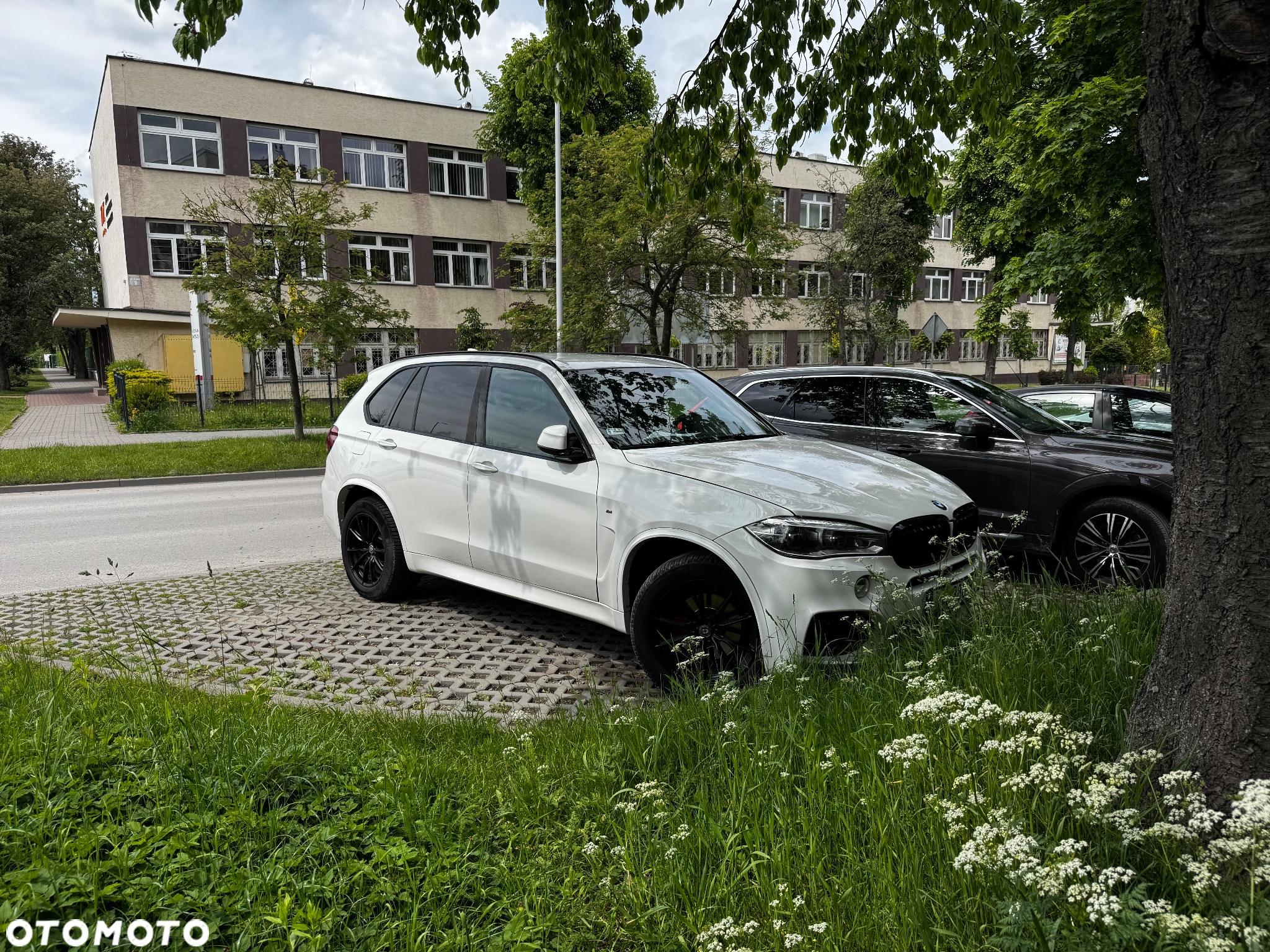 BMW X5 xDrive25d - 3