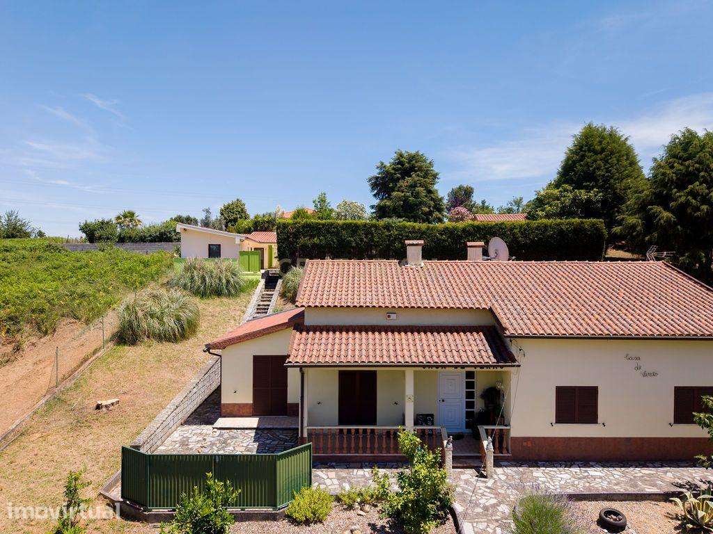 Propriedade Exclusiva em Côja | Casa Principal + AL com 4 Suites + Pis - Grande imagem: 5/47
