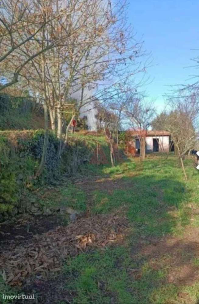 Casa de campo T3 em Roriz, Santo Tirso. - Grande imagem: 2/23