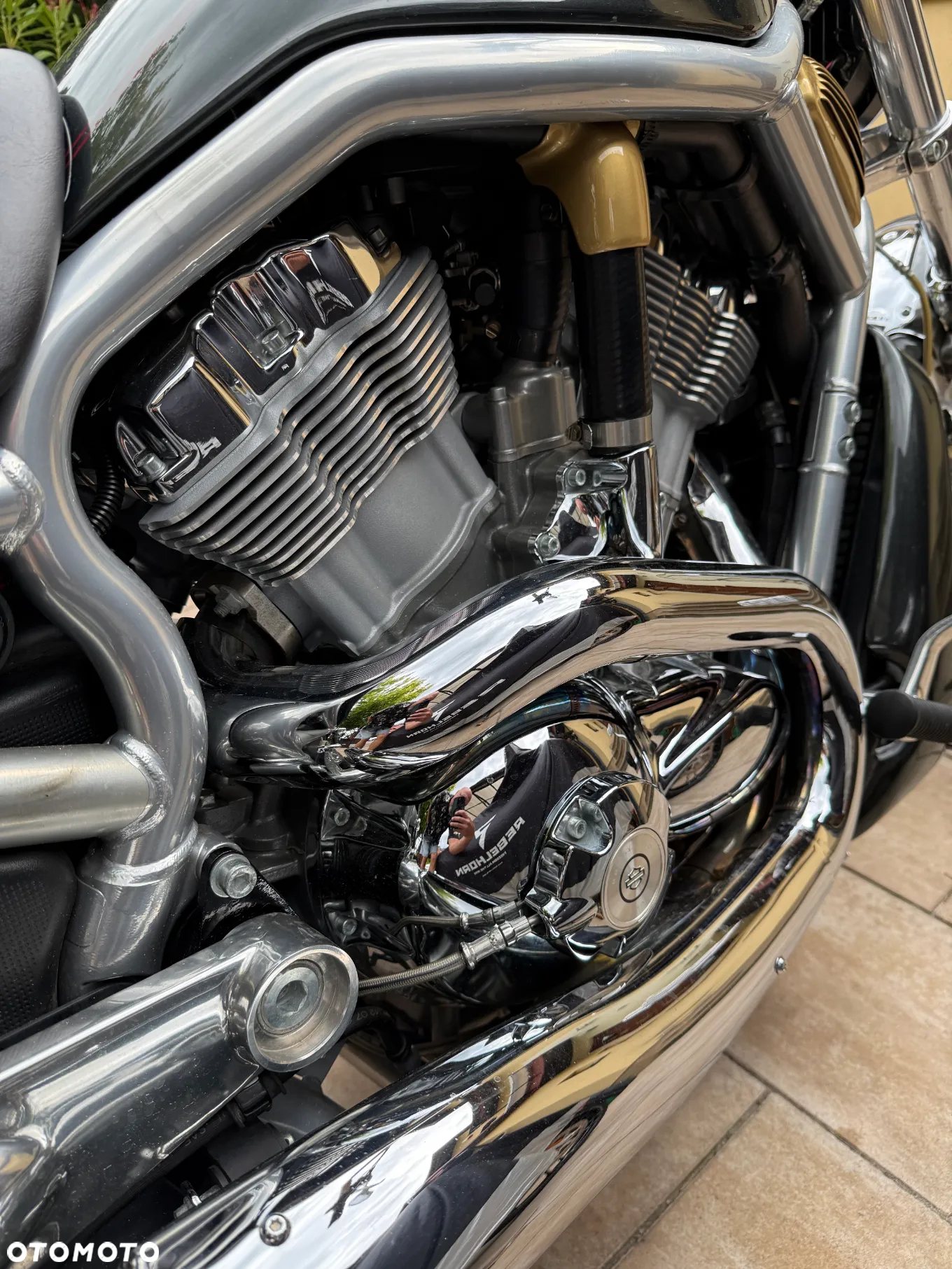 Harley-Davidson Softail V-Rod - 10