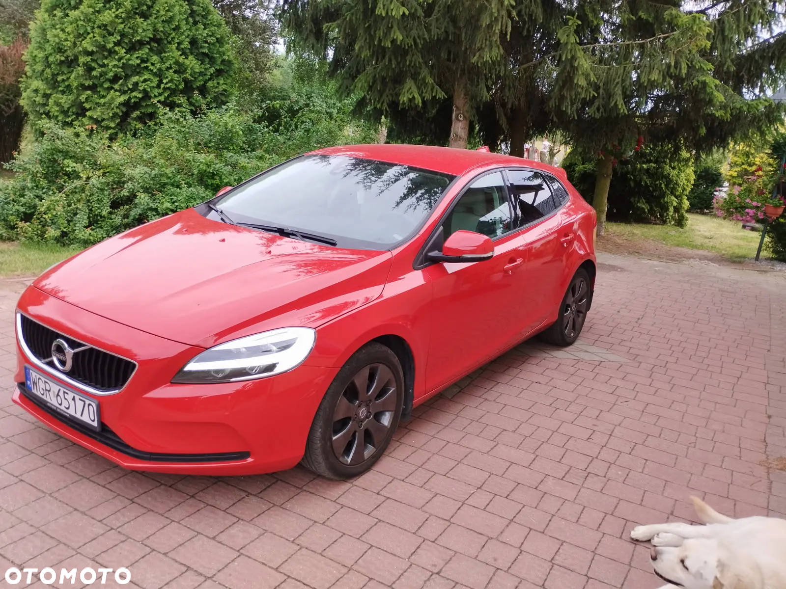 Volvo V40 T3 Drive-E Momentum - 3