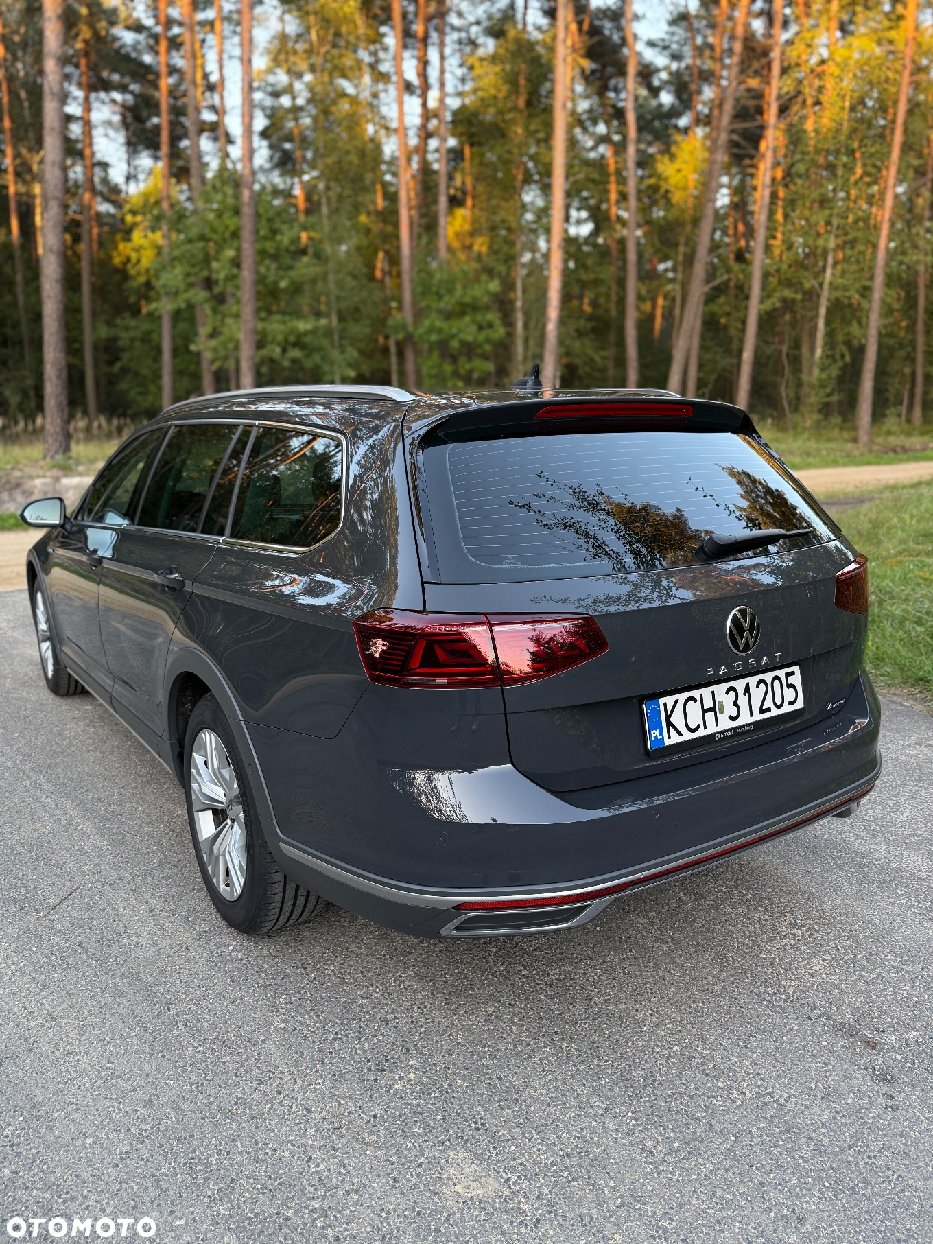 Volkswagen Passat Alltrack 2.0 TDI 4Mot DSG - 14