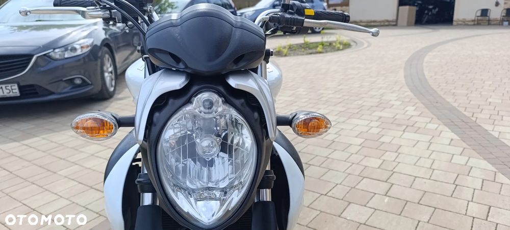 Suzuki Gladius - 18